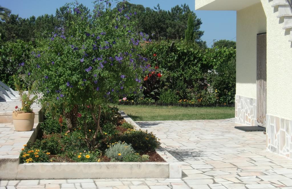 Ferienwohnung Quinta Da Harmonia Azeitão Exterior foto