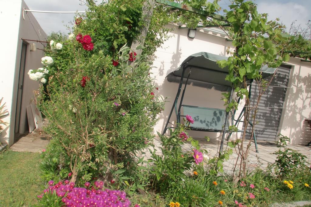 Ferienwohnung Quinta Da Harmonia Azeitão Exterior foto